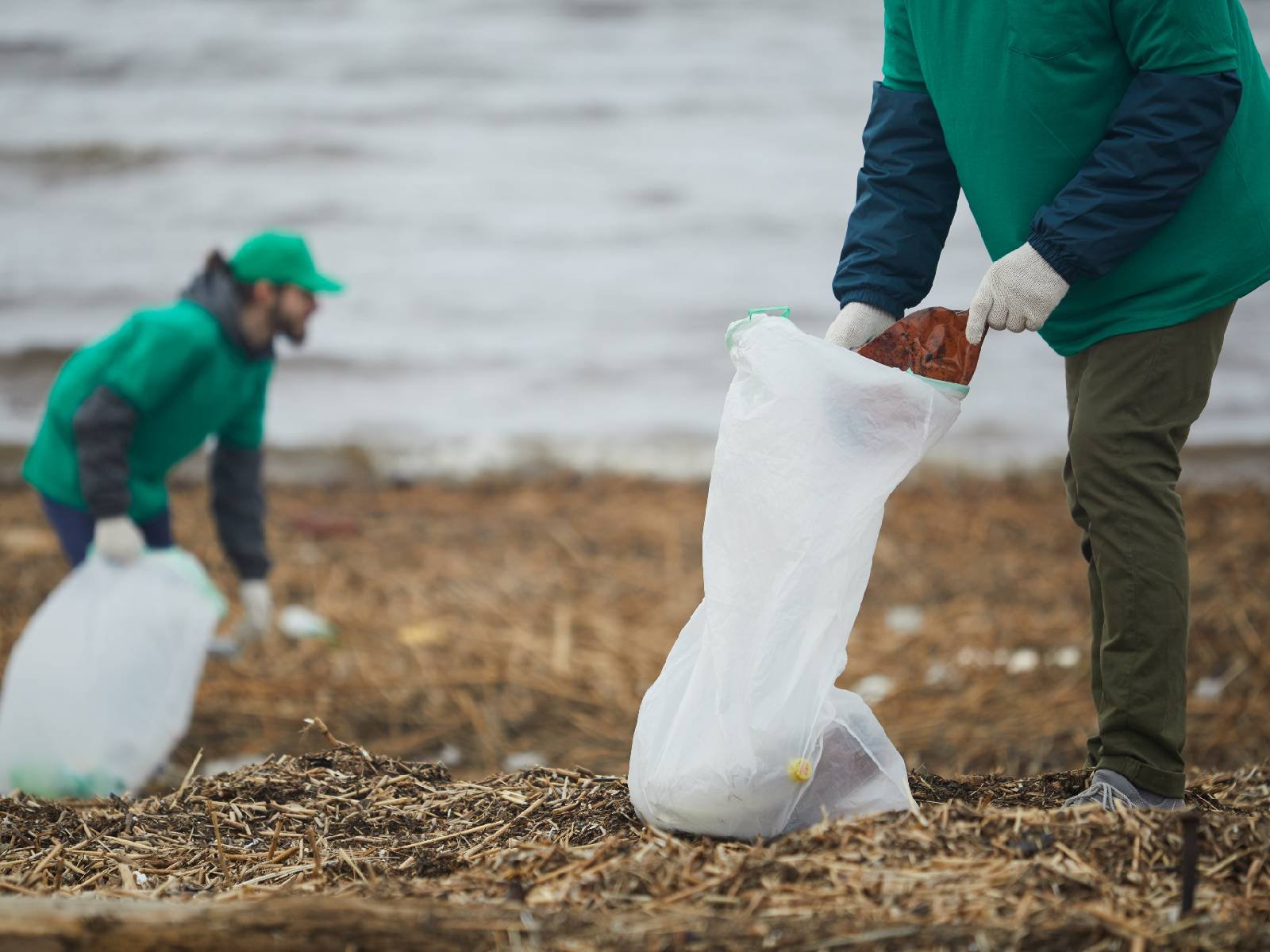 beach-cleaning